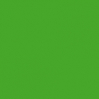 solid-313-alucobond-kolor-plyty-jasno-zielony